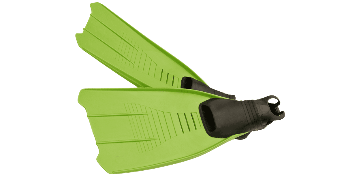 Parrots-Landing-Swimming-Pools-green-flippers